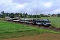 A1A A1A 68081&ROGER(1)